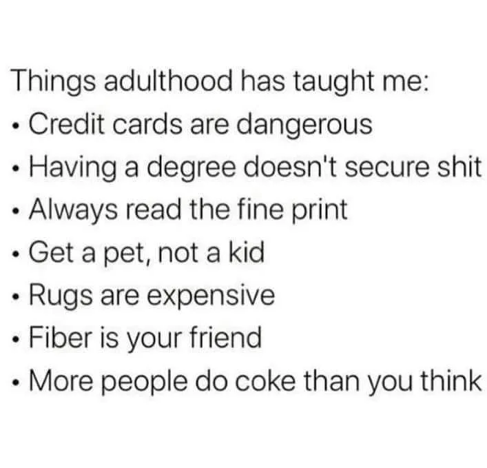 adulthood meme