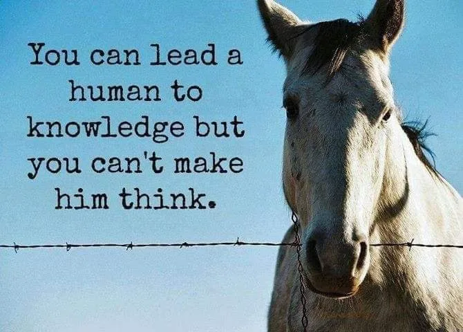 knowledge meme