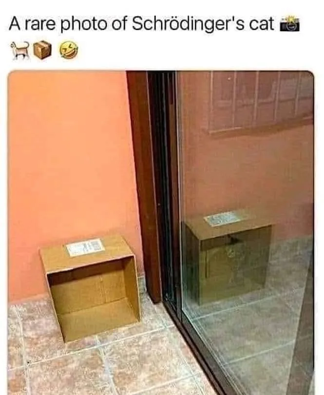 Schroedinger's cat meme