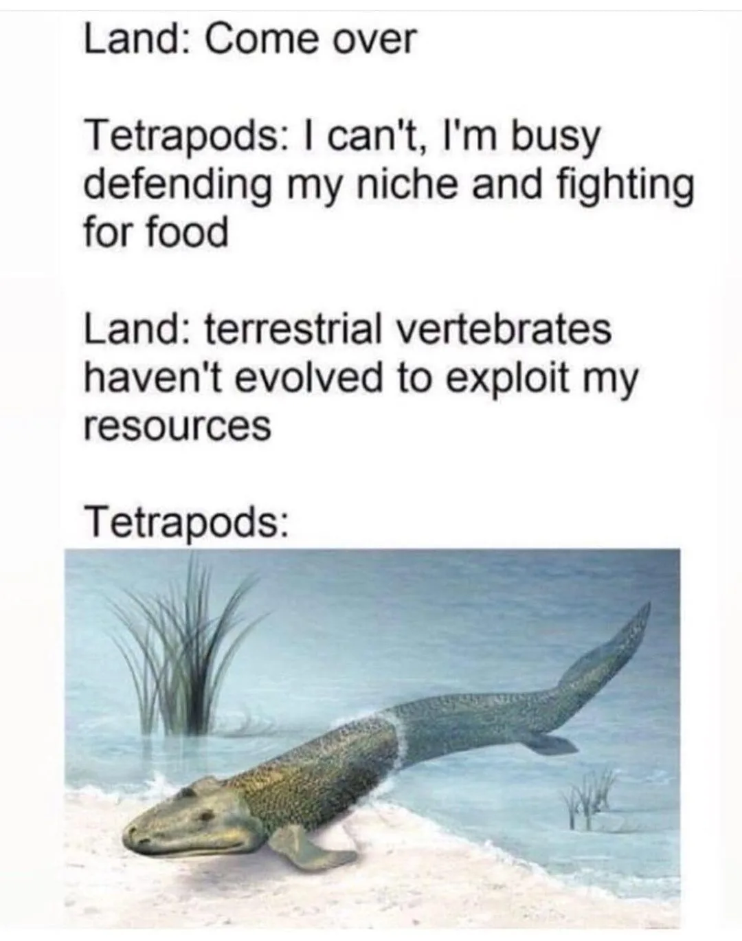 evolution meme