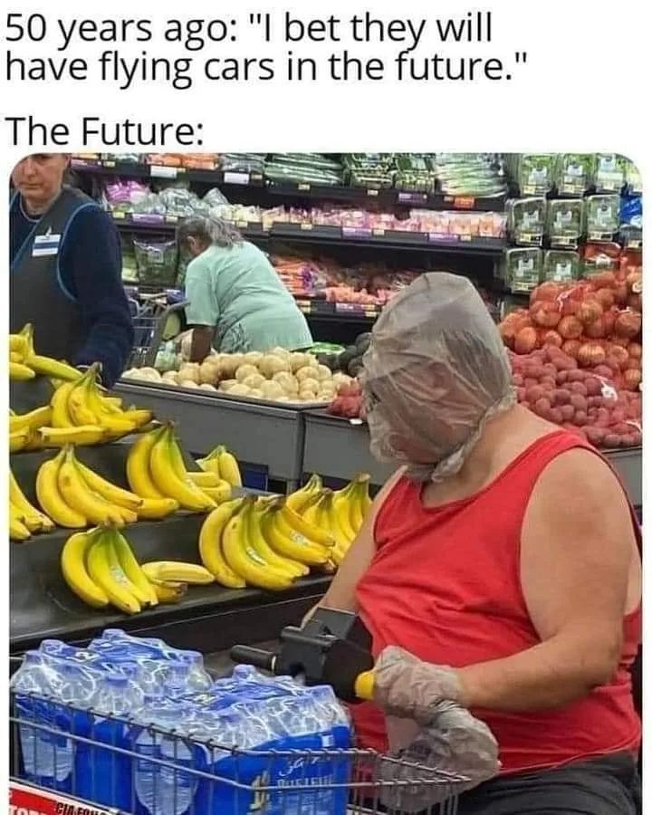 progress meme