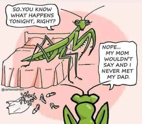 wedding meme