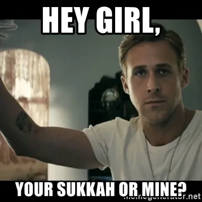 Sukkah meme