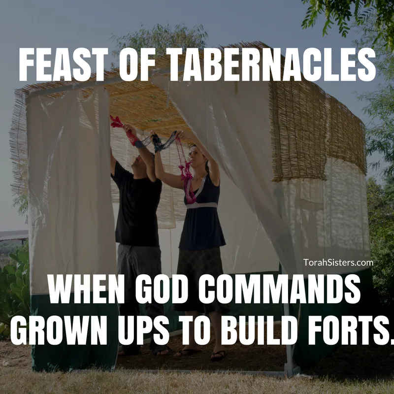 Sukkah meme