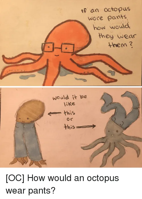 octopus meme