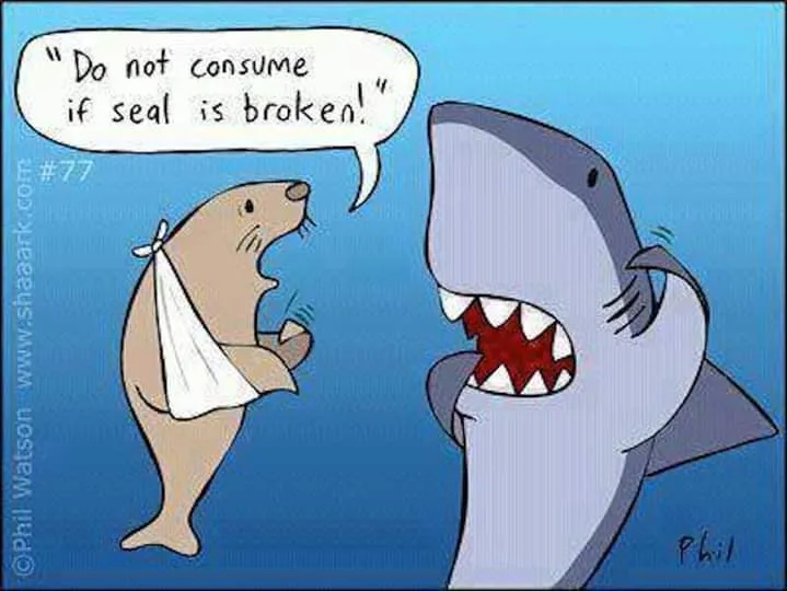 shark meme