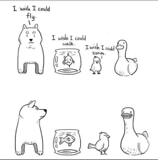 contentment meme