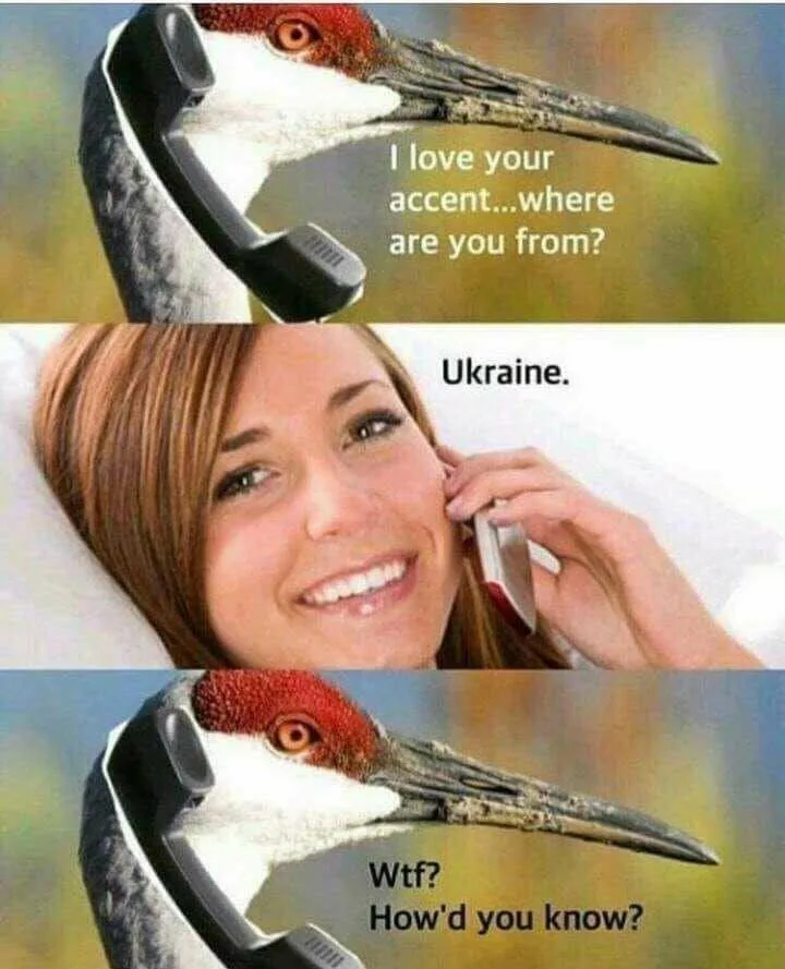 Ukraine meme