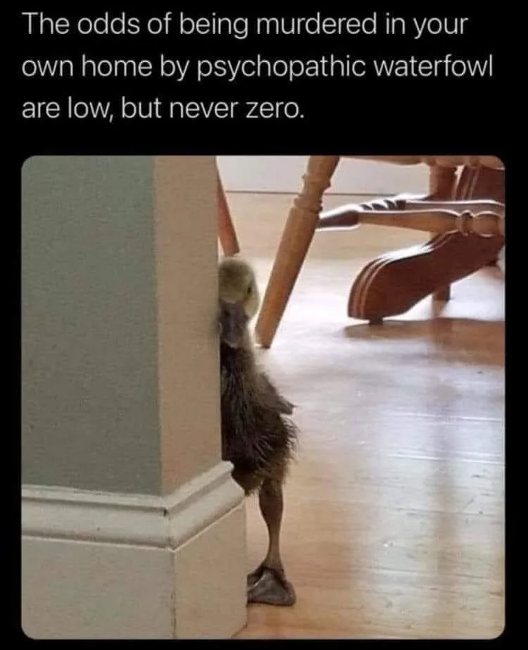 probability meme