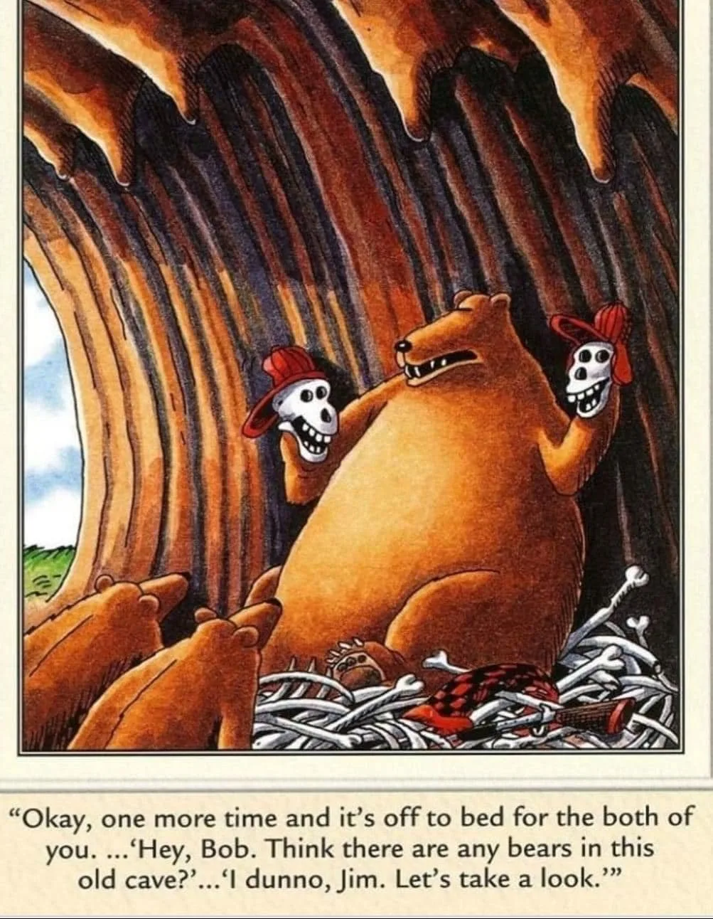 bear meme