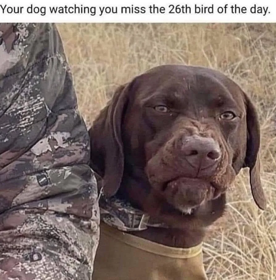 hunting meme