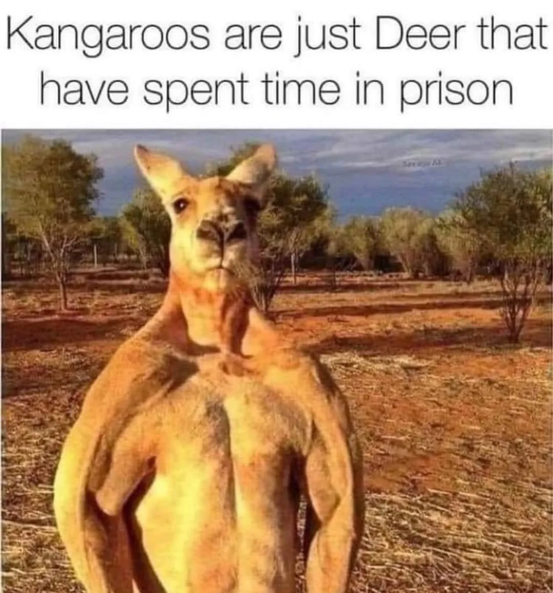 prison meme
