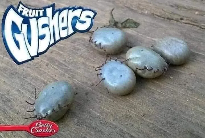 tick meme
