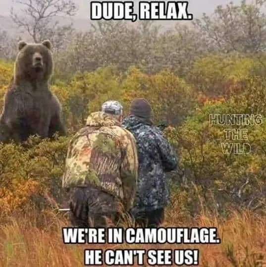 bear meme