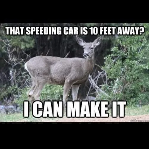 deer meme