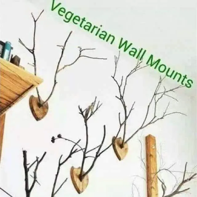 vegetarianism meme