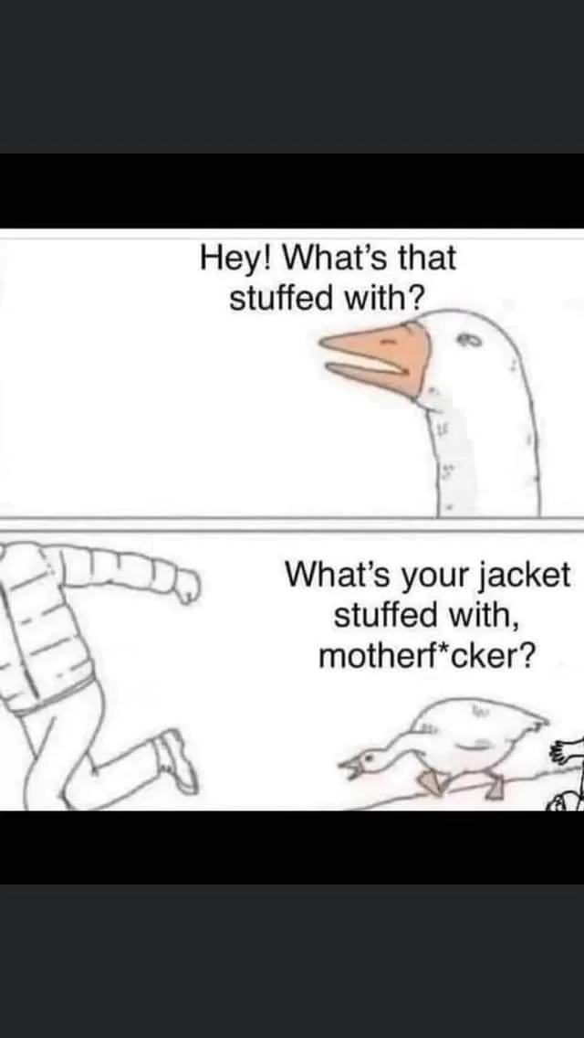 goose meme