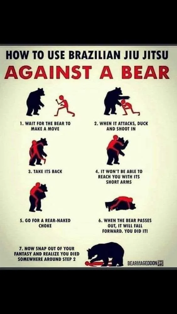 bear meme