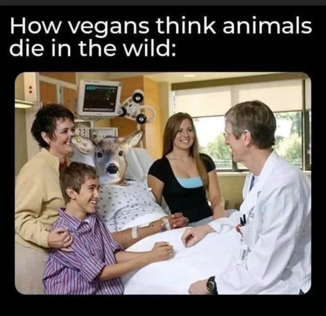 veganism meme
