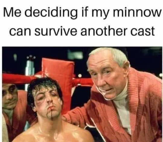 minnow meme
