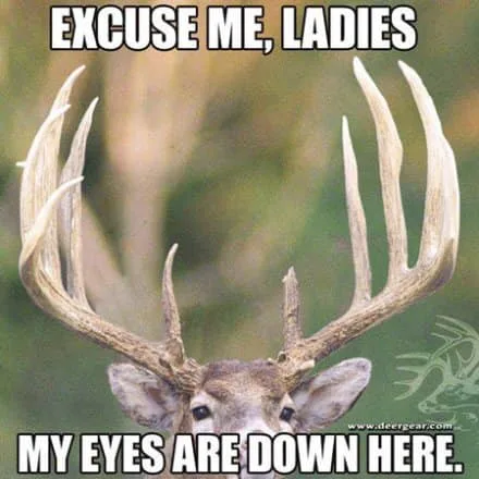 objectification meme