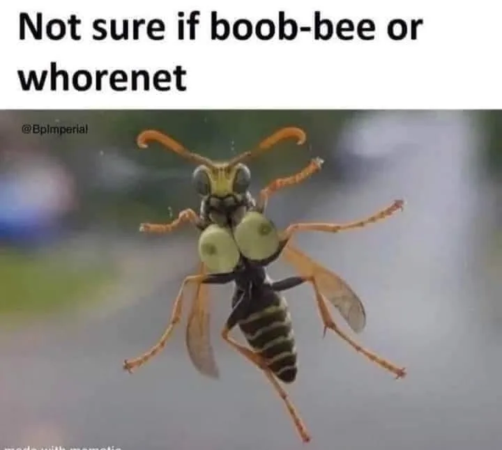 bee meme