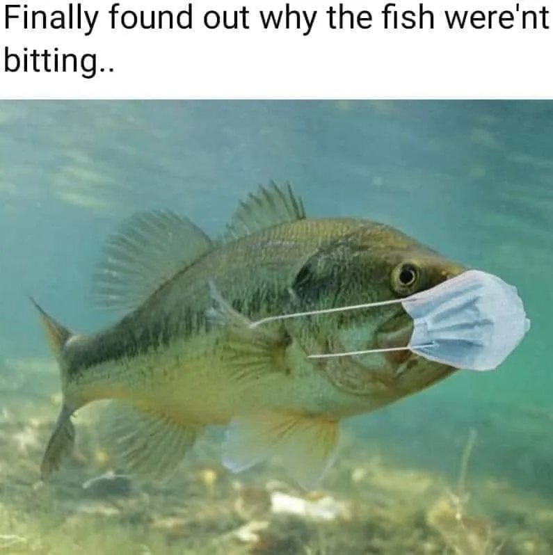 face mask meme