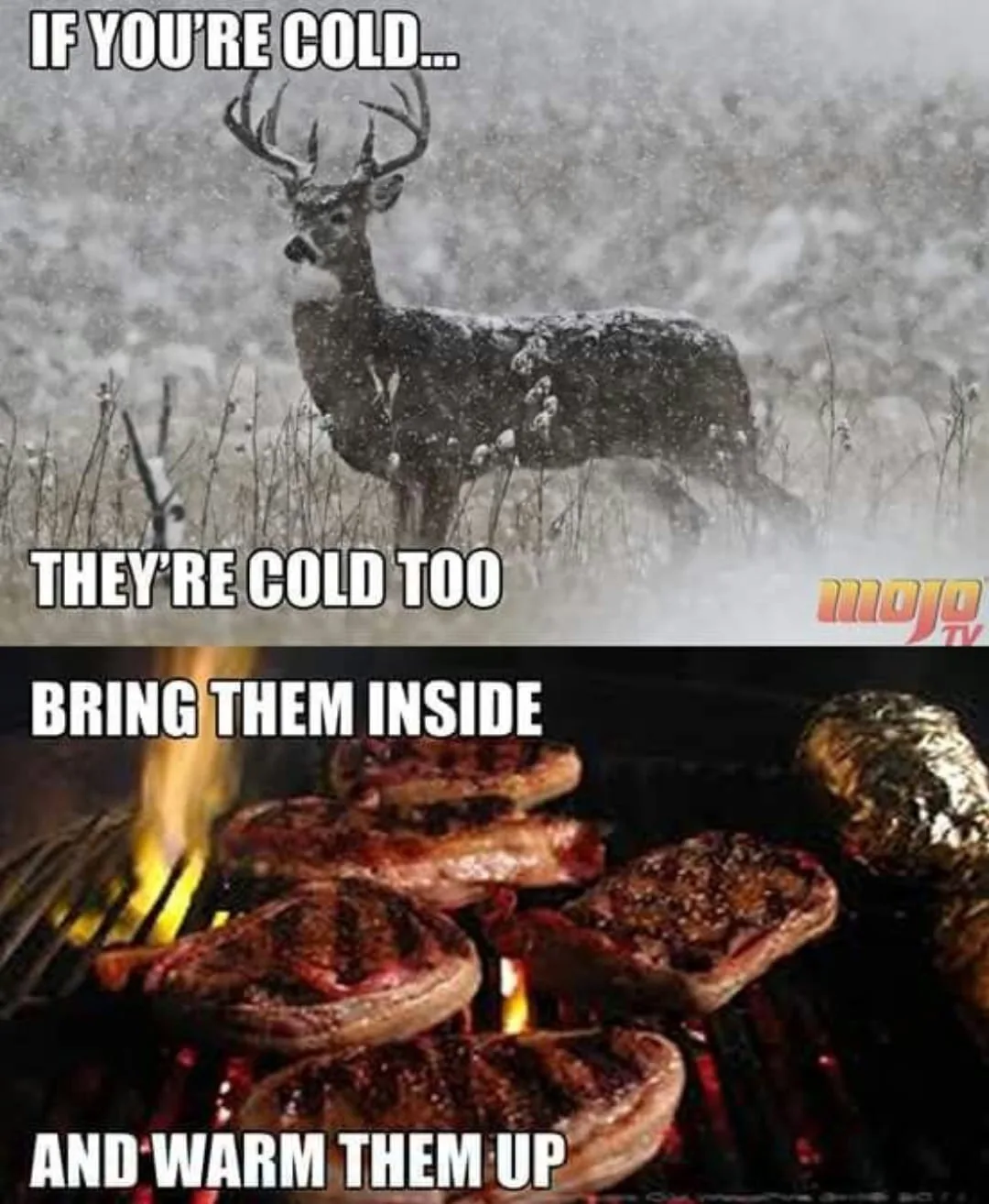 meat eating meme
