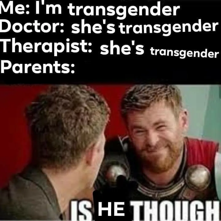 transgender meme
