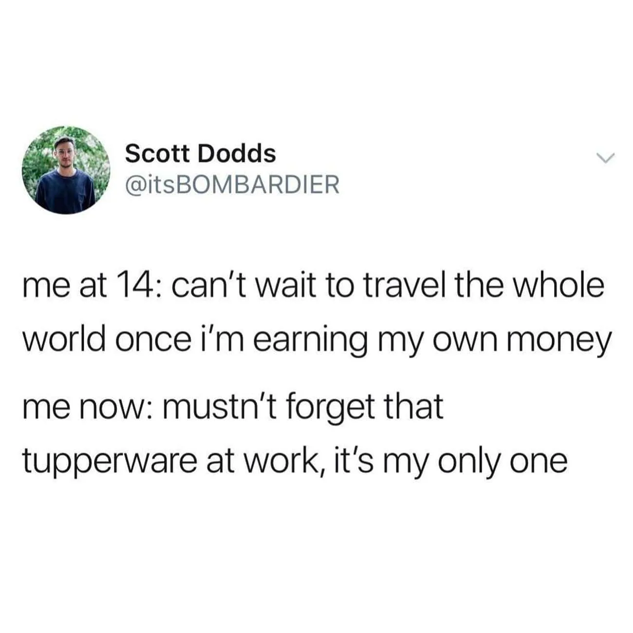 adulthood meme