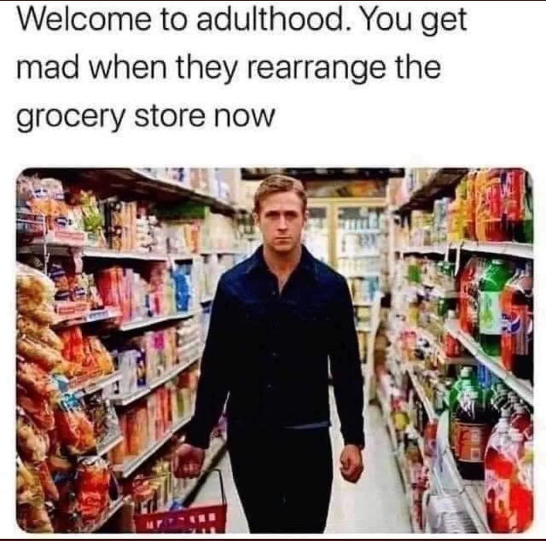 adulthood meme