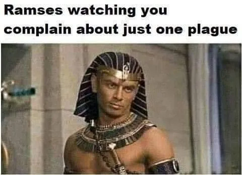 plague meme