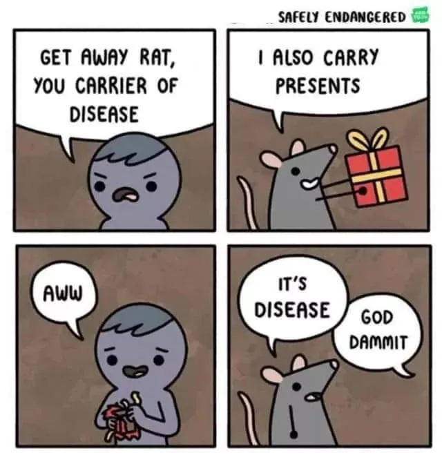 rat meme