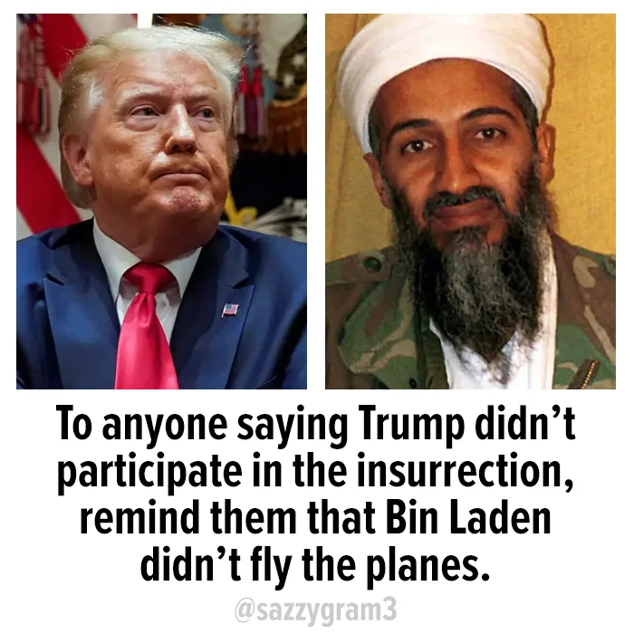 January 6th Insurrection meme
