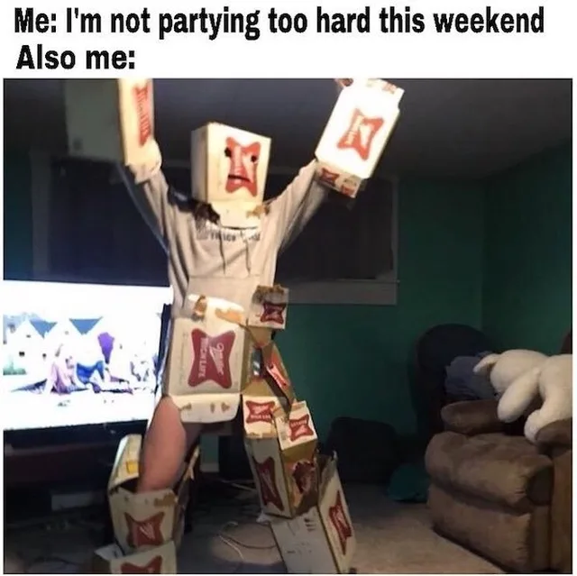 drunkenness meme