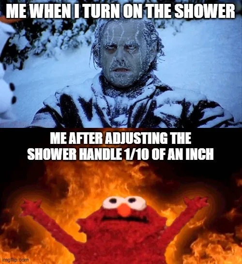 shower meme