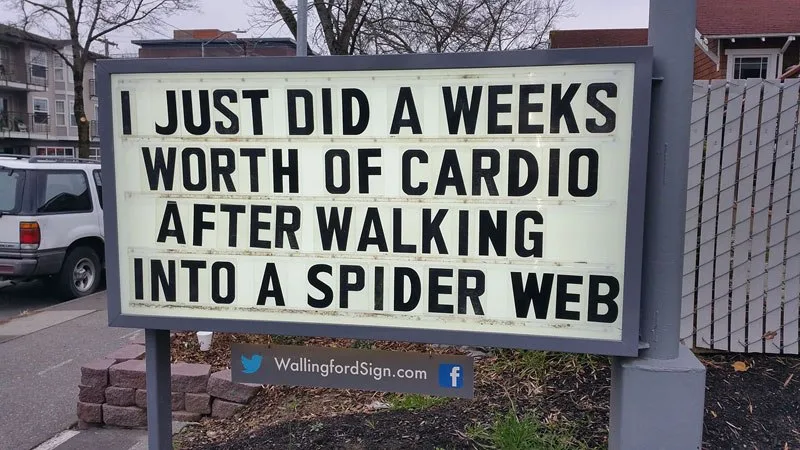 spider meme