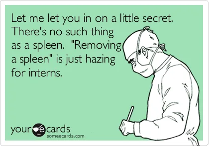 spleen meme