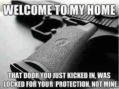2nd Amendment meme