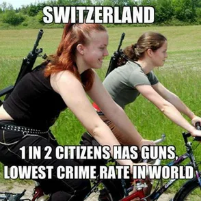2nd Amendment meme