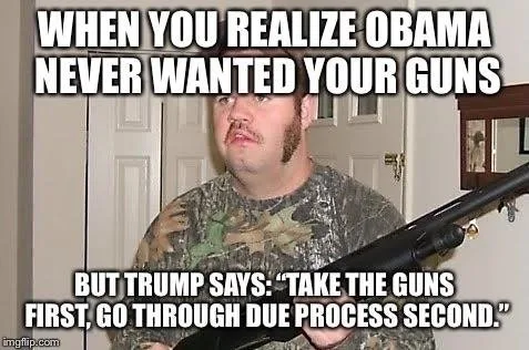 gun control meme