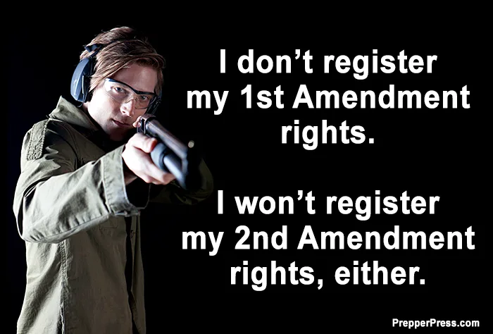 constitution meme