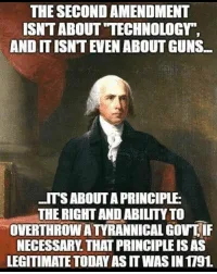 constitution meme