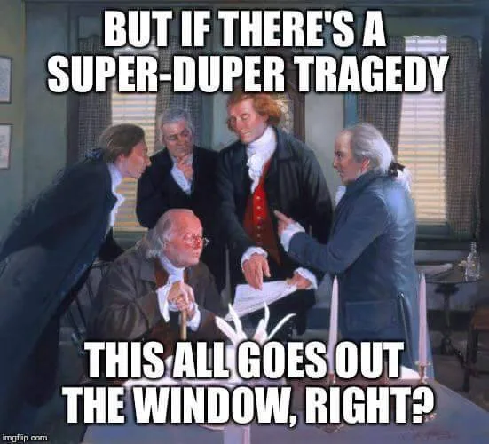 constitution meme