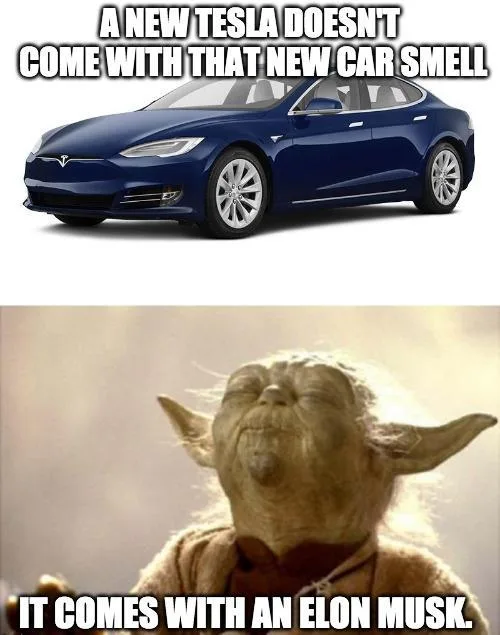 musk meme