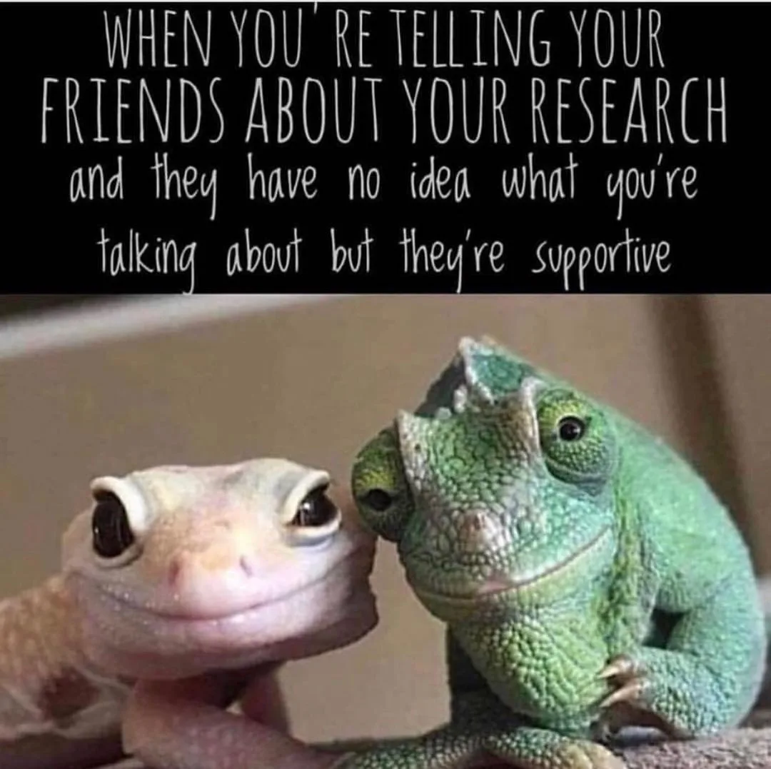 graduate school meme