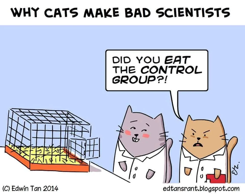 mouse meme