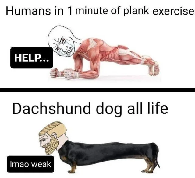 exercise meme