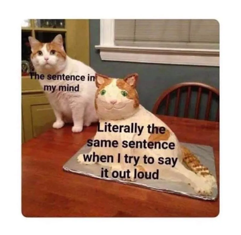 public speaking meme