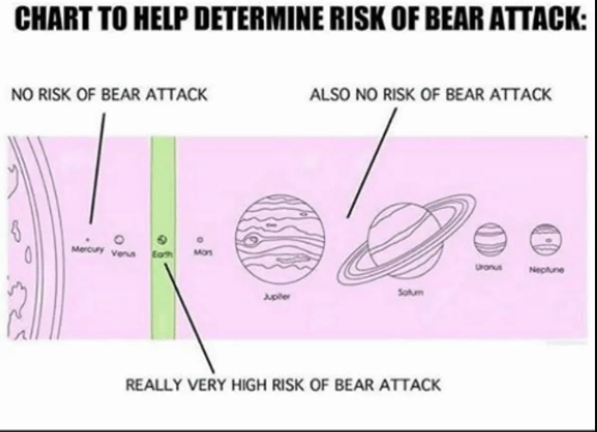 bear meme